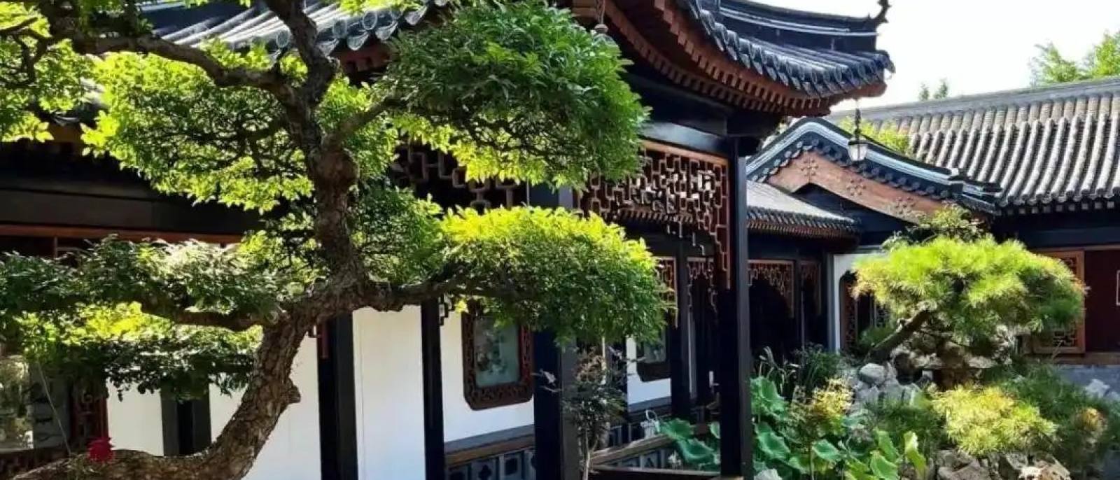 必一运动关于园林绿化栏目配图