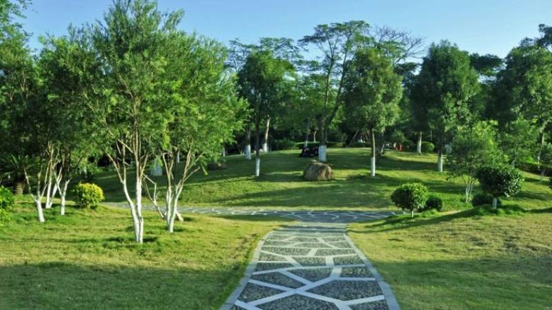 必一运动关于园林绿化栏目配图，展示绿化景观